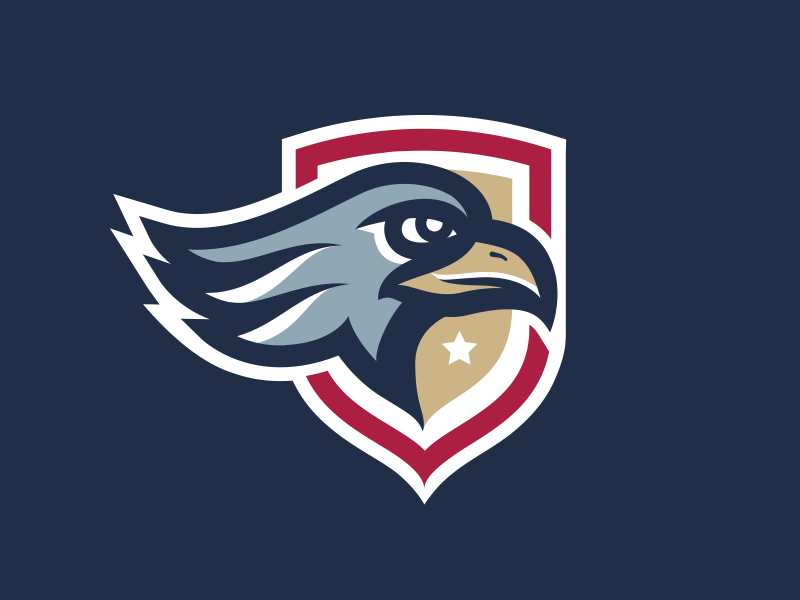 Eagle by Visual Jams on Dribbble