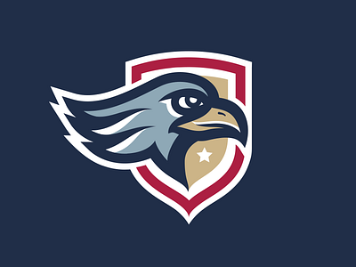 Eagle america athletic eagle logo mark shield sports