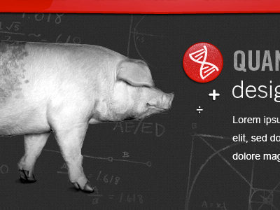 Birchwood dna icon pig website