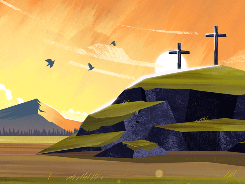 Bird Test by Visual Jams on Dribbble