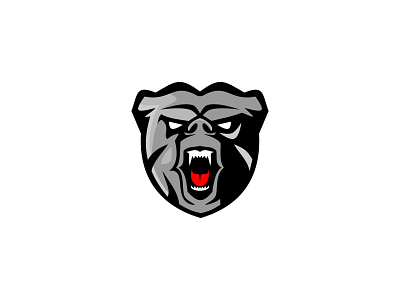 Bear logo branding graphic design logo