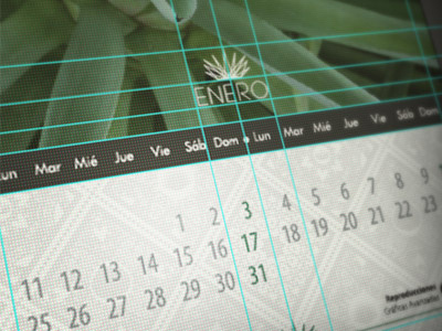 CALENDAR "MEZCAL" calendar illustrator print process proposal wip