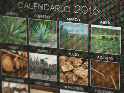 CALENDAR 2016 MEZCAL calendar design editorial illustrator photography wip