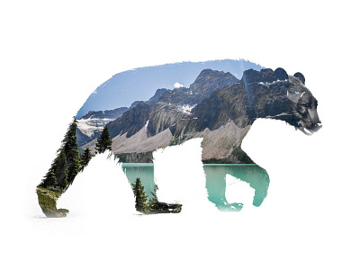 Banff Bear double exposure photography travel wildlife
