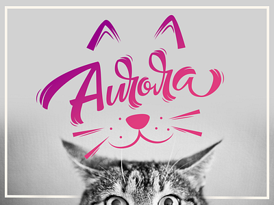 Aurora branding calligraphy customtype lettering scrip type