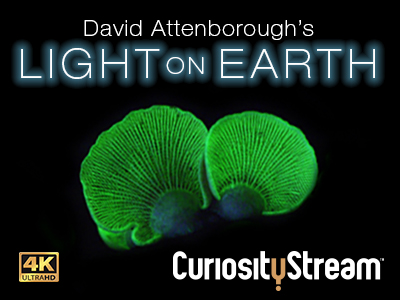 David Light on Earth by CuriosityStream on Dribbble