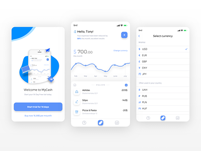 MyCash.App app concept currency dashboard design interface ios logo main mobile money trial ui uidesign ux web design
