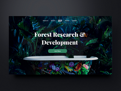 Deep forest website