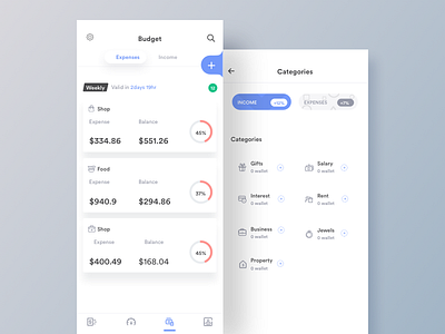 Budget And Categories