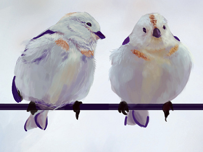 Birds birds digital art digital painting illustration