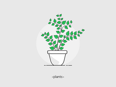 Plant 01 illustration illustrator leaves plant pot series