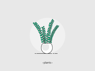 Plant 02 design illustration illustrator leaf leaves living plants pot