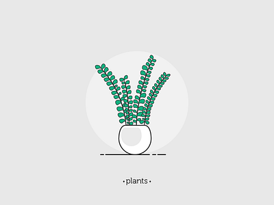 Plant 02