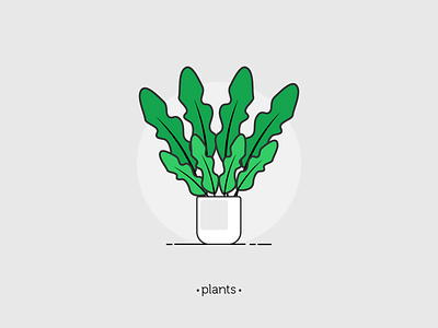 Plant 03 design illustration illustrator leaf leaves living plants pot