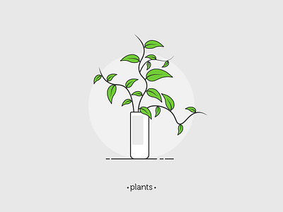 Plant 04 design illustration illustrator leaf leaves living plants pot series