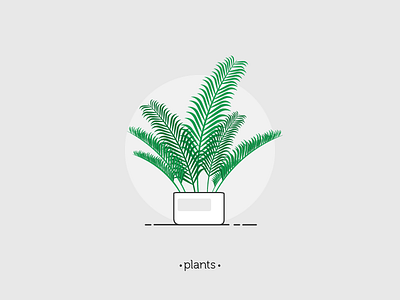 Plant 05 5 design illustration illustrator leaves palm plant pot series plant