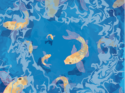 Koi Fish illustration koi fish pond procreate