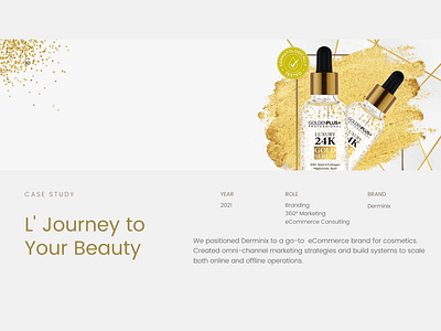 Derminix UX/UI Design & Web Development  — Skincare Startup