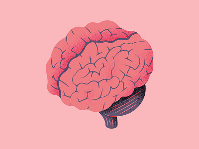 Brain by Thierry Fousse on Dribbble