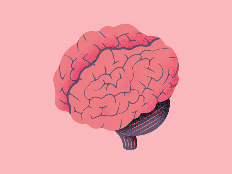 Brain 2024. Мозг Минимализм. Головной мозг Минимализм. Дизайнерский мозг.