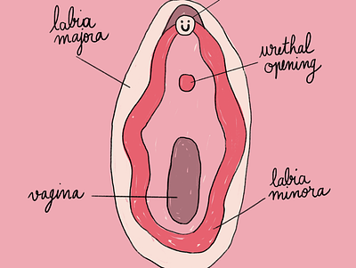 vulva feminist illustration vulva women