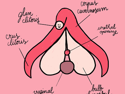 Clitoris clitoris feminism illustration women