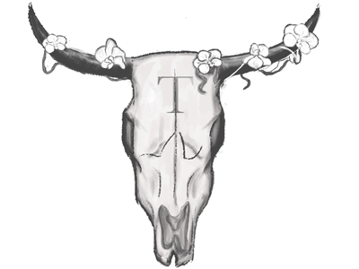Cow Skull blackwhite cow cowskull drawing illustration logo photoshop skull