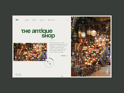 The Antique Shop