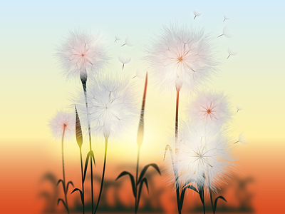 dandelions in the wind design graphic design illustration vector