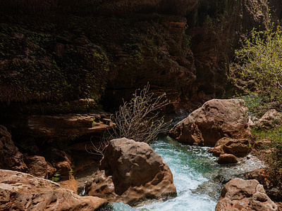 Cascadas de Apoala