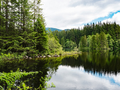 Lynn Canyon landscape