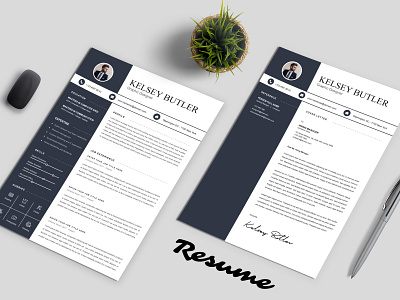 Resume Template resume infographic