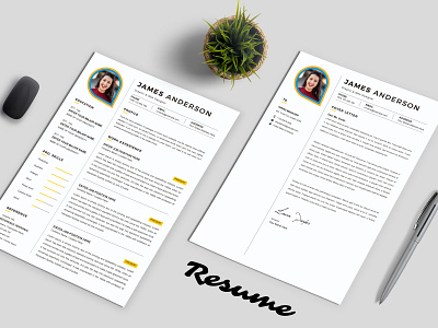 Clean Resume Template stylish
