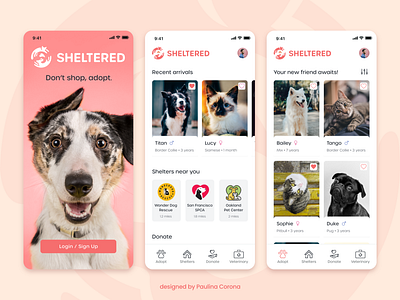 Pet Adoption App Concept adobe xd animals app cards cats charity dogs mobile mobile ui pet adoption pets shelter ui design uiux ux design