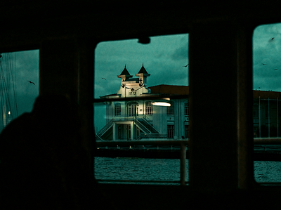 On the Ferry / Istanbul. window