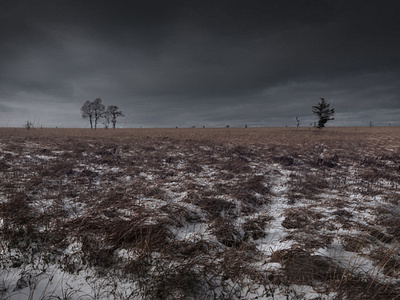 The Ghosts of the High Fens landscape