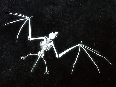 Bat Skeleton Illustration