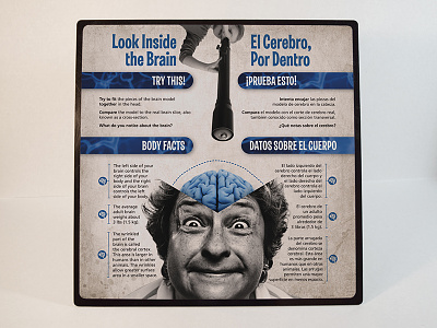 "Look Inside the Brain" Sign anatomy biology brain education exhibit museum organs science