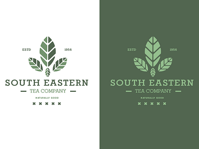South Eastern Tea Company Branding branding company design eastern identity logo mockup packaging south tea