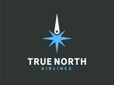 True North Airlines airline airplane aviation branding compass flight fly jet logo travel true north