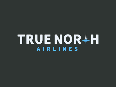 True North Airlines V2 airline airplane aviation branding compass flight fly jet logo travel true north