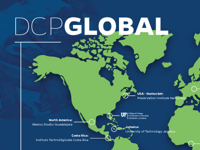 DCP Global Wall Map