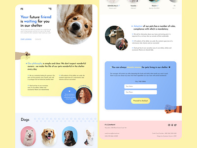 Website for Pet Shelter 2022 animal design designer dribbble figma pets shelter site ui uiux ux uxui website zoo