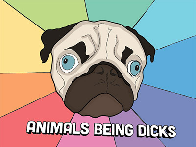 AnimalsBeingDicks illustration