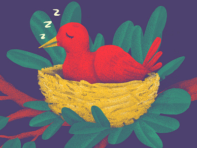 Sleeping Bird illustration
