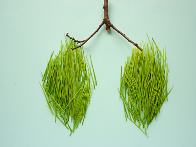 The green grass is laid out in the form of human lungs typography