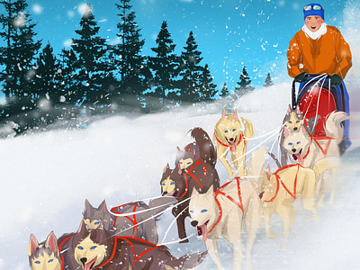 In a dog sled characterdesign digital art digital illustration drawing illustration illustrationoftheday portrait