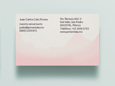 Pimentela Bizcard BACK print business card foil pink soft fabriano dipped