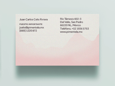 Pimentela Bizcard BACK business card dipped fabriano foil pink print soft
