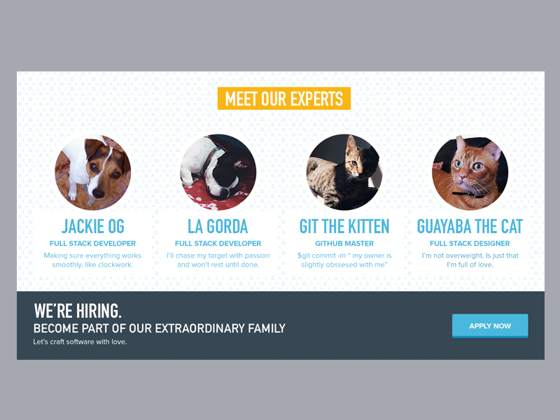 WIP Sawyer Effect - Hiring Panel development web website